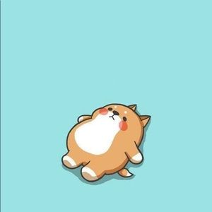 Meet your Posher, Kenneth